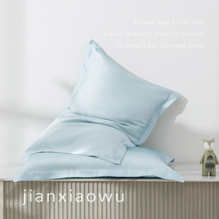 儿童真丝枕套蚕丝枕芯3到6岁以上四季通用宝宝幼儿园午睡专用枕头