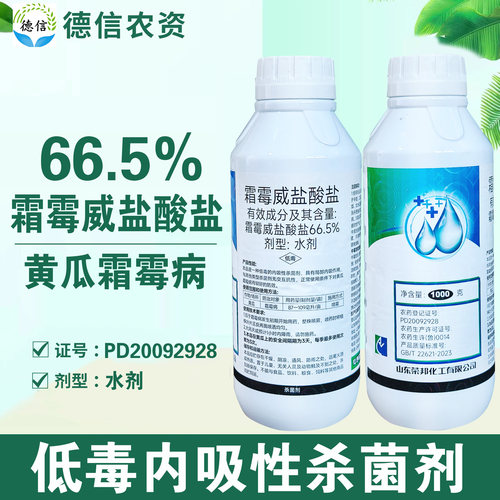 荣邦66.5%霜霉威水剂黄瓜霜霉病