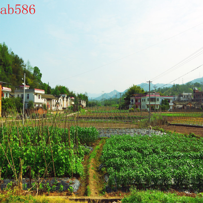 山水风景直播间网红背景布抖音快手直播主播农村背景布外景竹林装