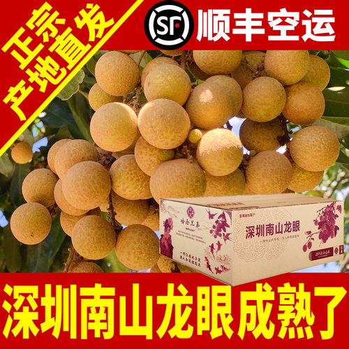 深圳南山龙眼新鲜桂圆顺丰包邮