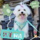 狗狗牵引绳背心式 小型犬泰迪比熊博美幼犬胸背带宠物狗链子遛狗绳