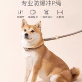 猫狗宠物牵引防爆冲P链遛狗牵引绳防挣脱中大型犬防爆冲拴