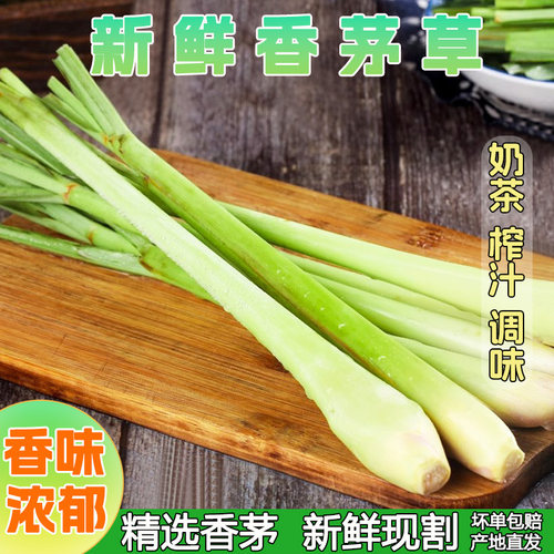 广东香水香茅新鲜草香矛草食用奶茶店泰国汤料食材泰式料理柠檬草
