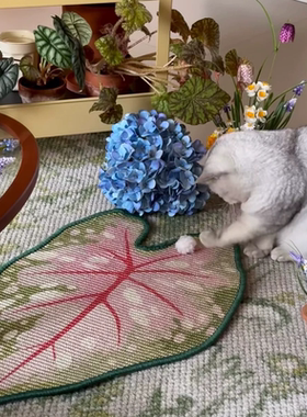 正版:剑麻猫抓毯 可挂式猫抓板 已授权 墨绿色71*45cm 拆封后不退