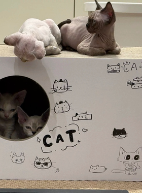 petfusion工厂:隧道猫抓板 瓦楞纸 线锯bb楞 50*27*30cm 顺丰