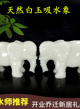 天然阿富汗白玉大象摆件一对玉石象家居吸水象客厅玄关摆设装饰品
