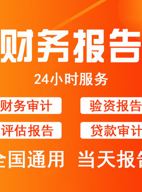 审计咨询公司投标年度报告财务报表模板专项验资审计资产评估咨询