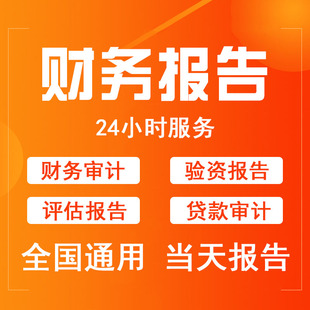 审计咨询公司投标年度报告财务报表模板专项验资审计资产评估咨询