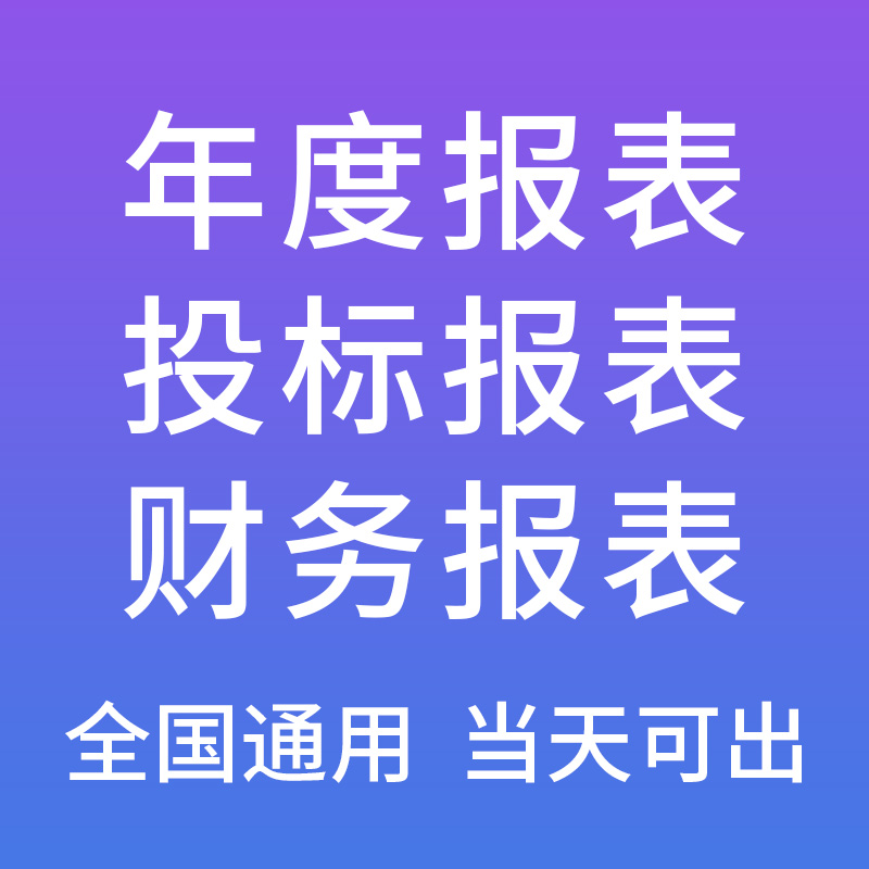 公司企业投标年度财务报表资产负债表利润表现金流量表四表一注