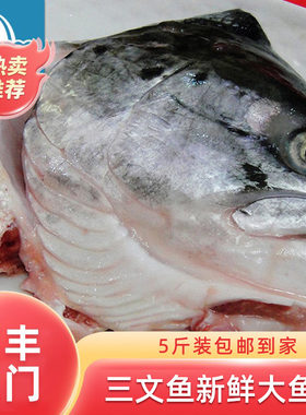 新鲜三文鱼冷冻大鱼头包邮 鲜活海鲜食材烧烤 炖汤 蒸煮皆可