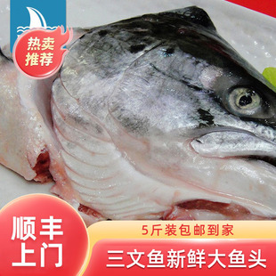 新鲜三文鱼冷冻大鱼头包邮 鲜活海鲜食材烧烤 炖汤 蒸煮皆可
