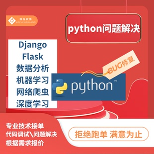 python问题解决bug修复远程代码调试django/flask/数据分析代编程
