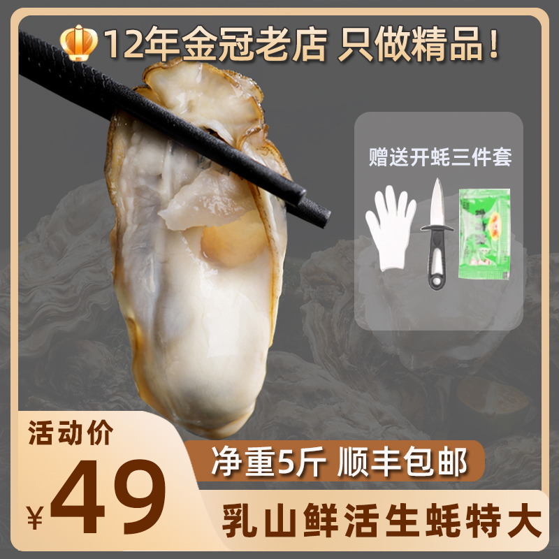 乳山生蚝鲜活10斤特大送开蚝刀