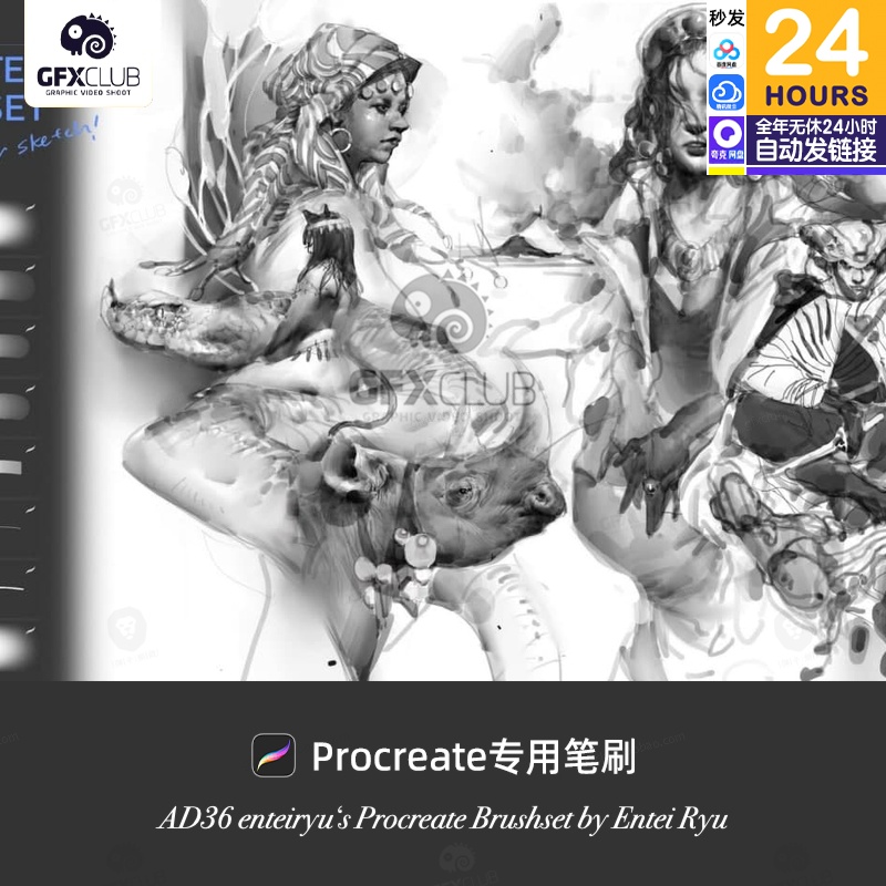 Procreate艺术家enteiryu笔刷ipad画笔 AD36 iPad绘画画笔库