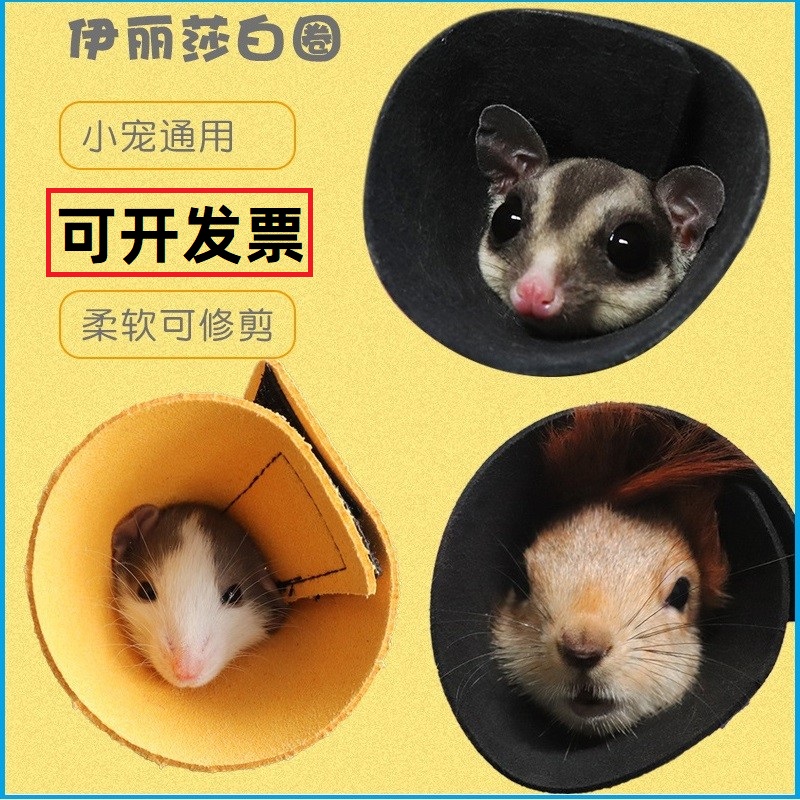 防咬圈头套小宠伊丽莎白圈