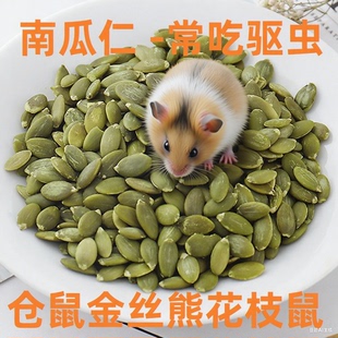 仓鼠花枝鼠金丝熊松鼠南瓜子仁零食驱虫预防蛔虫不上火营养零食