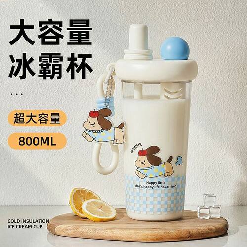 大容量耐高温防摔学生吸管杯