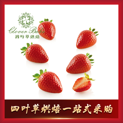 意大利silikomart进口草莓模具