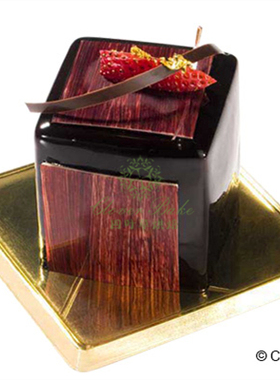 意大利 Silikomart SF104 SF105 正方形硅胶模  正方体模具