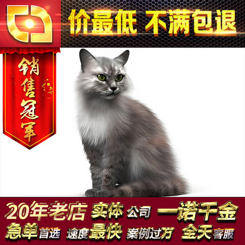 maya玛雅max四足动物ZB毛发动作表情骨骼绑定蒙皮特效动画C4D代做