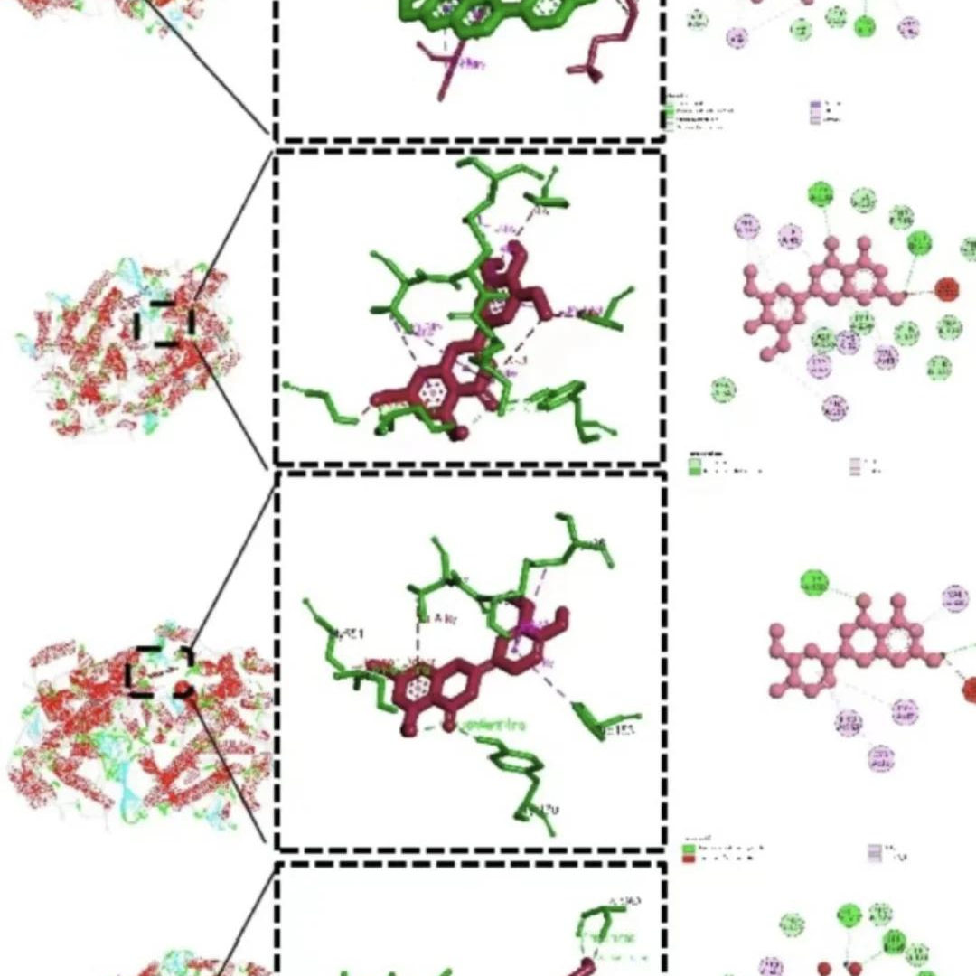 高斯gaussian反应机理过渡态搜索HOMO分子轨道分析静电势帮代算做