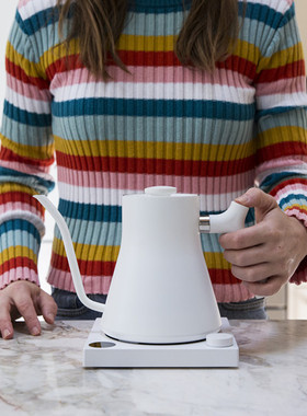 FELLOW EKG智能白色温控手冲壶长嘴电热细口不锈钢咖啡壶套装0.9L