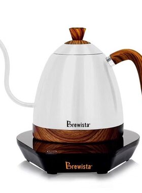 BREWISTA定温手冲壶600ML轻便