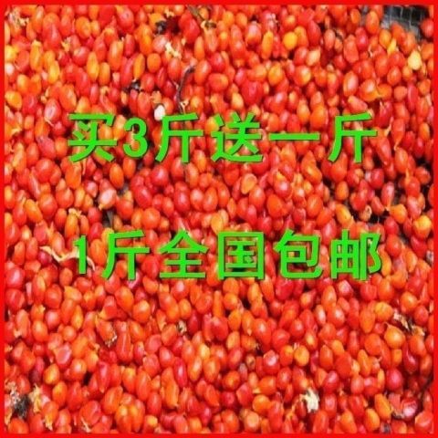 买3斤送1斤云南重楼种子