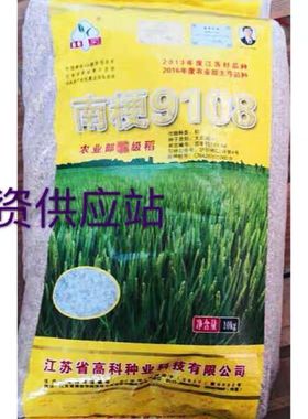 江苏省高科 南粳9108稻种高产优质水稻种子软糯清香大米种子