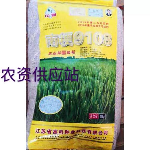江苏省高科 南粳9108稻种高产优质水稻种子软糯清香大米种子