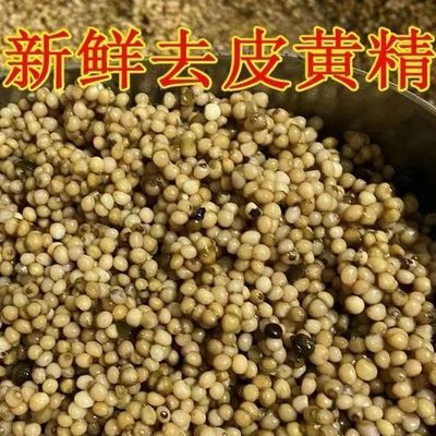 药材种子姜型多花黄精种籽高杆不倒苗黄精种子鸡头黄精