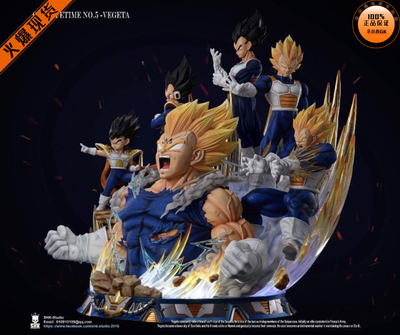 【李小西弟弟】现货 SHK 贝吉塔 赛亚人的一生 Vegeta 限量手办GK