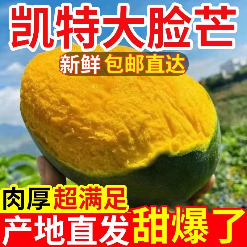 【超值】攀枝花凯特大芒果_超甜大果凯特芒新鲜应季孕妇水果