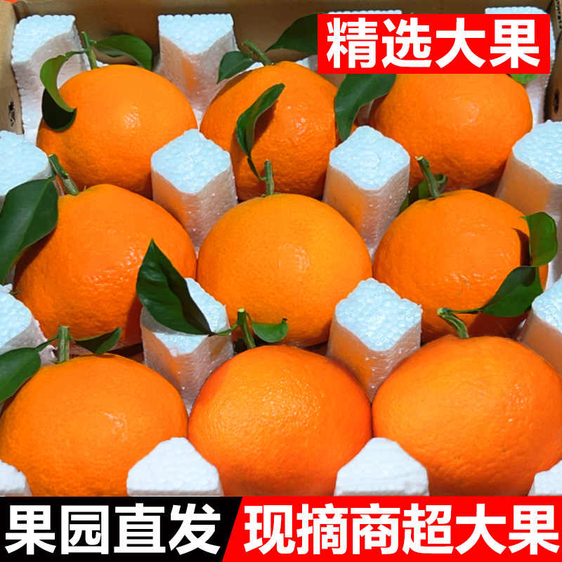 正宗四川爱媛38号果冻橙水果新鲜应当季橙子现摘爆汁冰糖眉山柑橘