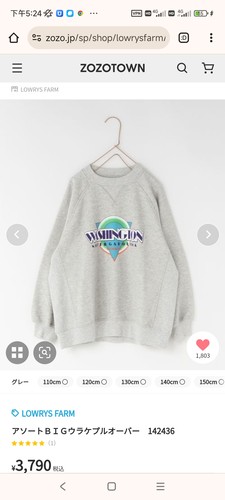 110-160 日单贵牌 LF 24秋男童女童中大童宽松长袖卫衣日本原单