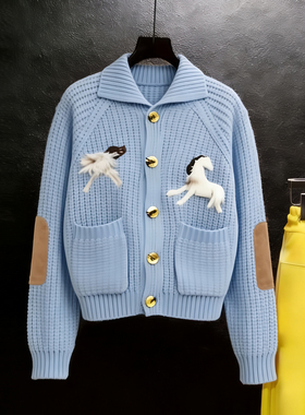 2025年冬季新款卡通提花翻领毛衣外套上衣女蓝色减龄百搭针织开衫