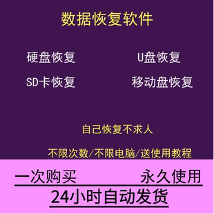 电脑硬盘数据恢复软件U盘sd卡误删除格式 化恢复视频照片文件修复