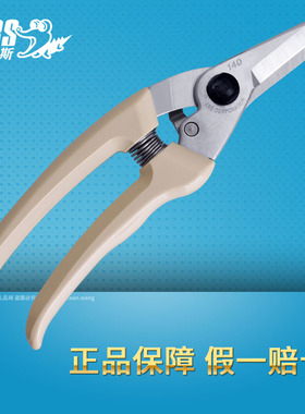 日本 ARS 140DX 爱丽斯园林工具剪枝剪苹果树进口修枝直刃剪刀