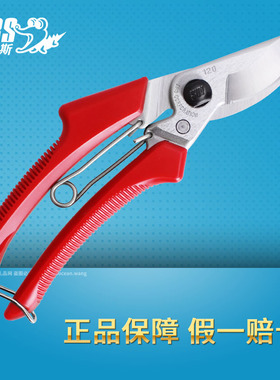 日本ARS 120DX爱丽斯园林工具剪枝剪修枝剪农园果树剪盆景花艺剪