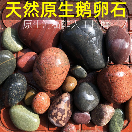 天然鱼缸造景石鹅卵石小型三湖慈鲷热带淡水草缸装饰石头
