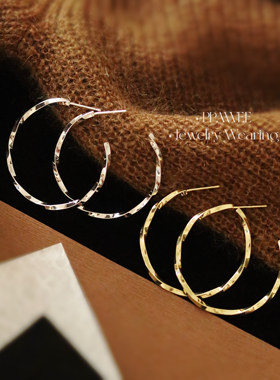 鎏金星河|简约纽纹金属大圆圈耳环女高级感素圈耳饰夸张秋冬耳钉