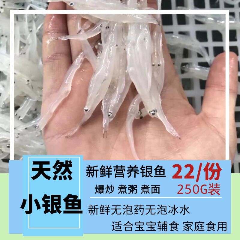 东山岛天然新鲜小银鱼冰冻野生