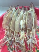 包邮 大鱿鱼干淡晒 鱿鱼母干货500g 福建东山特产海产品 海鲜干货