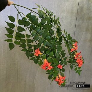仿真凌霄假花藤条树叶子假树造型攀爬花艺门头美国凌霄花花瓶插花