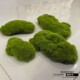 仿真苔藓块植毛石头大小搭配造景装 饰青苔石青苔草坪植绒摆件软装
