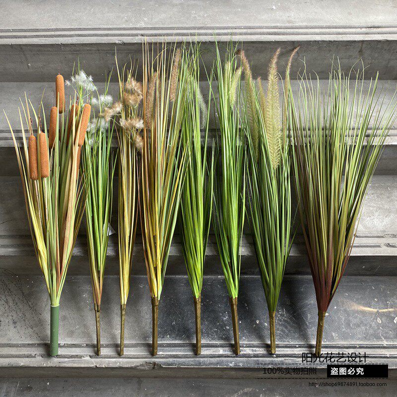 狗尾草仿真单只芦苇草柄草水蜡烛洋葱草水生插花摆设北欧ins装饰