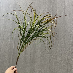 仿真水草扁草渐变扁草插花素材草秧苗草麦冬草吉祥草观音草菖蒲草