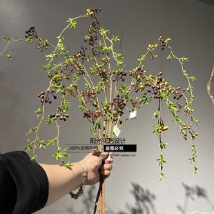 仿真野果浆果山归来野果子浆果自然系中式花材家居装饰陈列道具