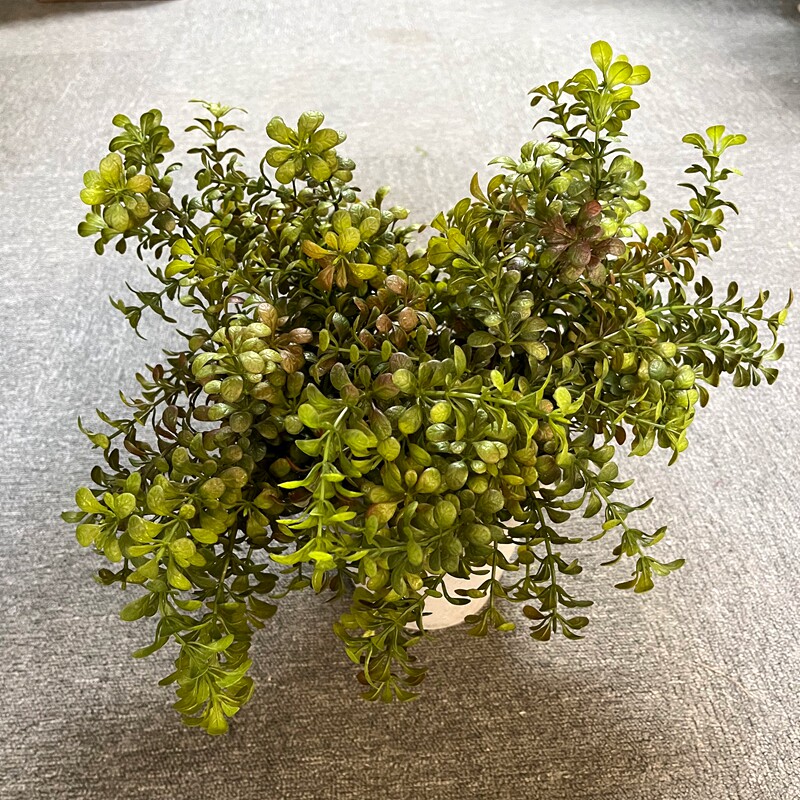 仿真豆瓣叶 手感软塑料把束尤加利 插花造景装饰仿真小绿植