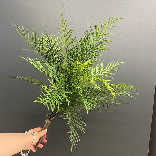 新款手感鸟巢厥叶波斯草景观